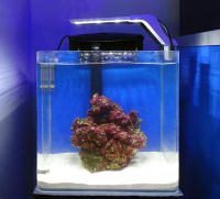 Готовое решение - аквариум морской с наполнением (камни живые) - объем аквариума 27 литров