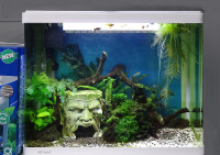 Готовое решение - аквариум - Исполнитель желаний. Объем аквариума 65 литров.