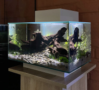 Готовое решение -  аквариум с тумбой - Тихий ручей - объем аквариума 23 литра