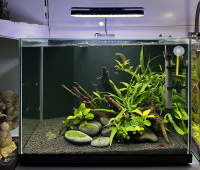 Готовое решение -  аквариум пресноводный  - Остров - объем аквариума 30 литров