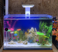 Готовое решение -  аквариум пресноводный  - GLO-ландия - объем аквариума 16 литров