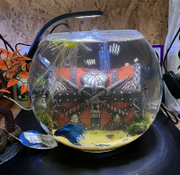 Готовое решение -  аквариум пресноводный  - Сундук мертвеца - объем аквариума 8,5 литров