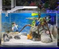 Готовое решение -  аквариум пресноводный  - Остров сокровищ - объем аквариума 23 литра