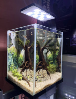 Готовое решение - аквариум - Сакура. Объем аквариума 20 литров