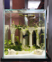 Готовое решение - аквариум - Затерянный город. Объем аквариума 19 литров.