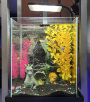 Готовое решение - аквариум - Дом дракона. Объем аквариума 19 литров.
