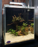 Готовое решение - аквариум пресноводный - Тундра. Объем аквариума 31 литр.