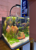 Пресноводный аквариум - готовое решение - Камни.Объем аквариума 30 литров. Пресноводный аквариум - готовое решение - Камни.Объем аквариума 30 литров.