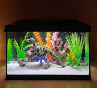 Пресноводный аквариум - готовое решение - Динозавр.Объем аквариума 25 литров. Пресноводный аквариум - готовое решение - Динозавр.Объем аквариума 25 литров.