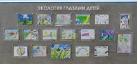 Мини-выставка "Экология глазами детей" в рамках Форума.