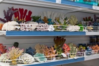 Искусственные декорации, кораллы, гроты, плоские и рельефные фоны для аквариумов