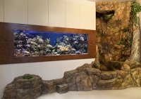 Посетителей встречает двухтонный морской рифовый аквариум