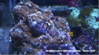 t_supermarket2012050414190406.jpg